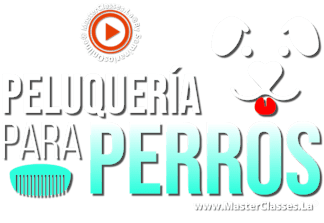 titulo