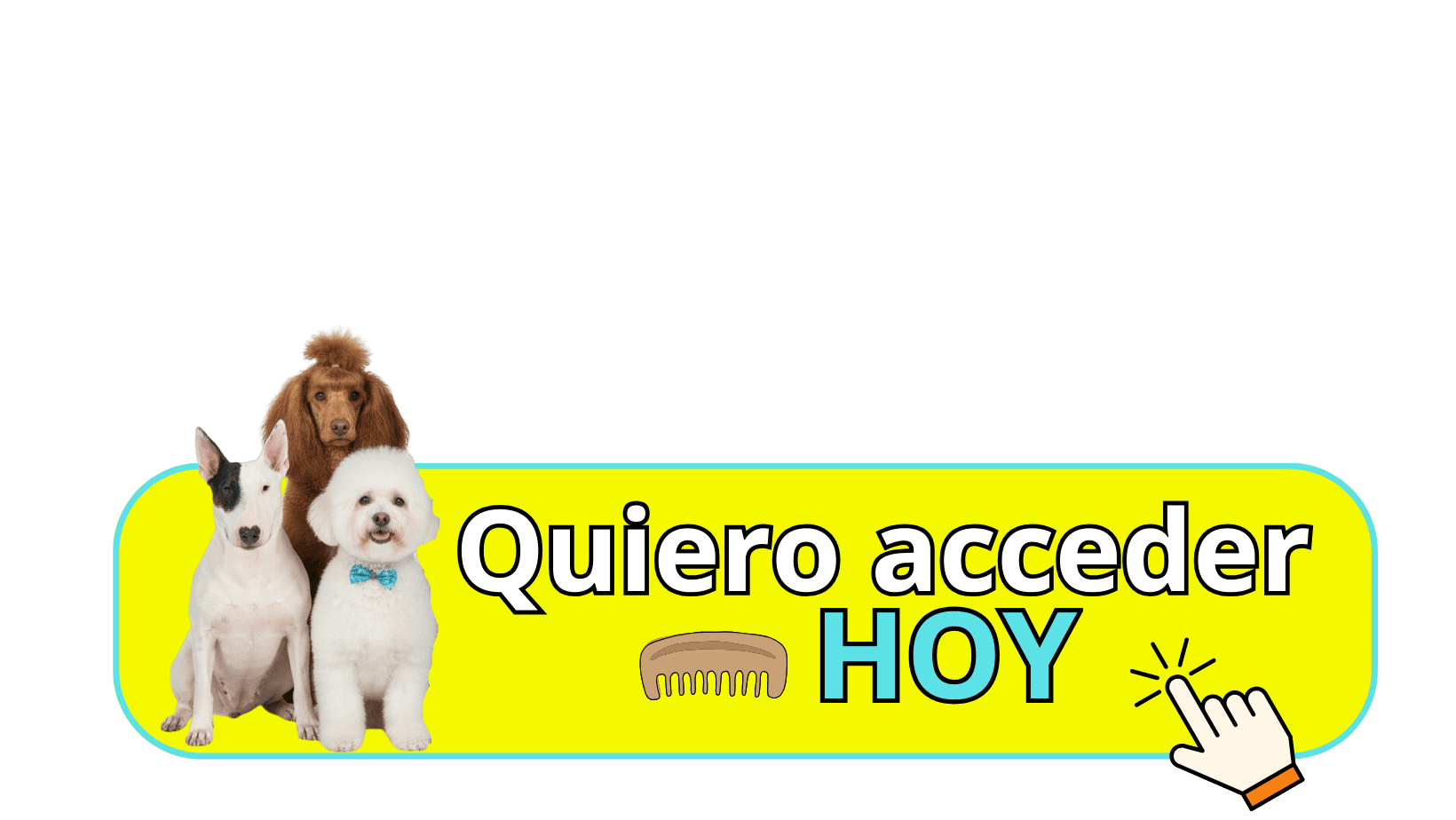 Diseño sin título (19)